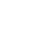 American Board of Plastic Surgery